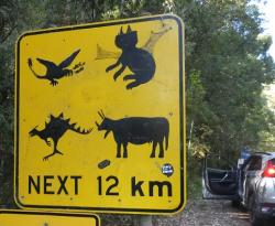 Strange creatures sign Cape Otway